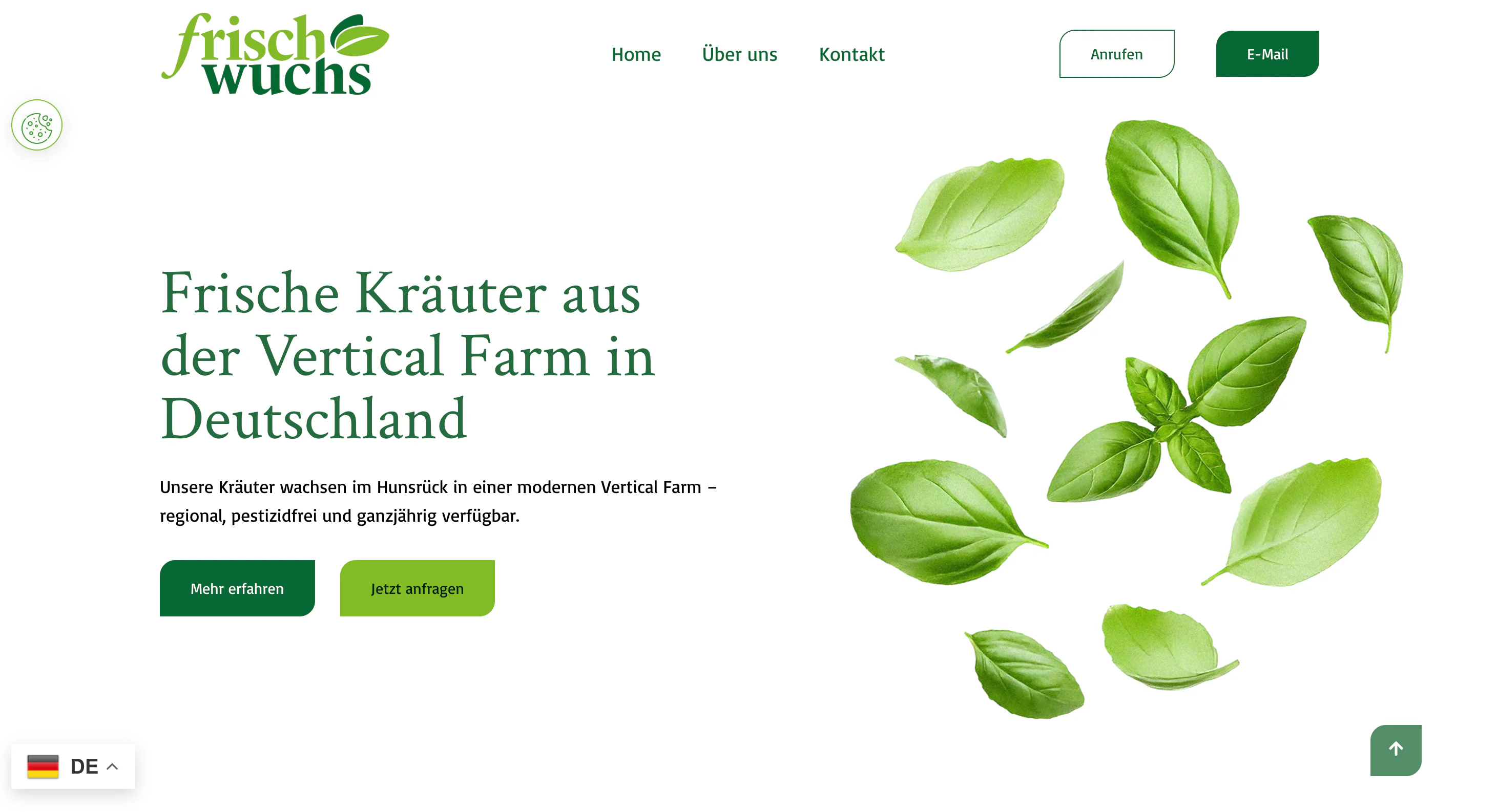 Frischwuchs Startseite mit Markenlogo, Leistungsversprechen und Basilikumblättern